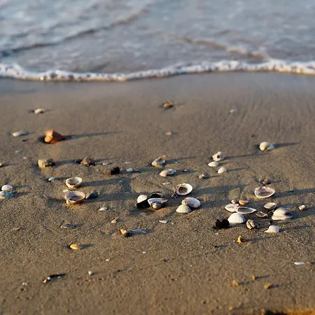 Adorable Apartment With Nice Balcony - Beahost Daire