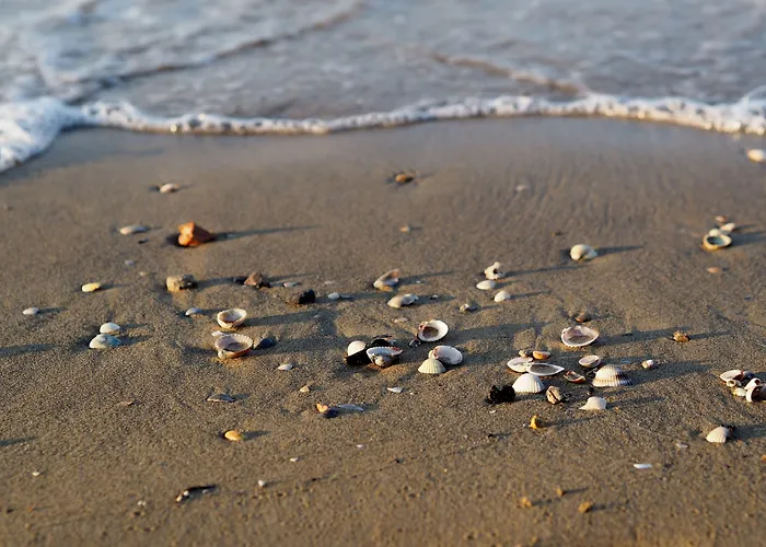 Adorable With Balcony - Beahost Lägenhet